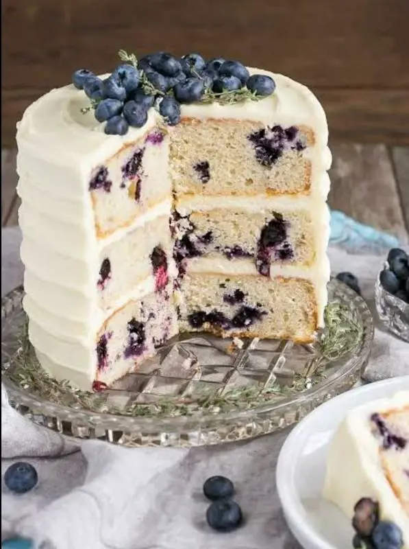 Rich Blueberry Cake