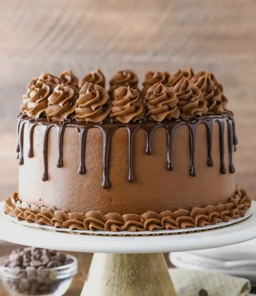 Rich Chocolate Mousse Cake