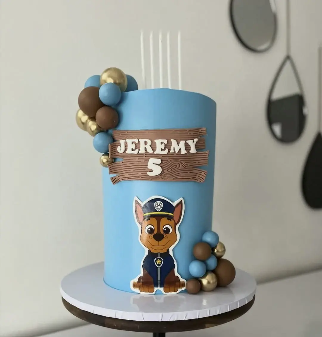 Paw Patrol Chocolate Ganache Birthday Cake